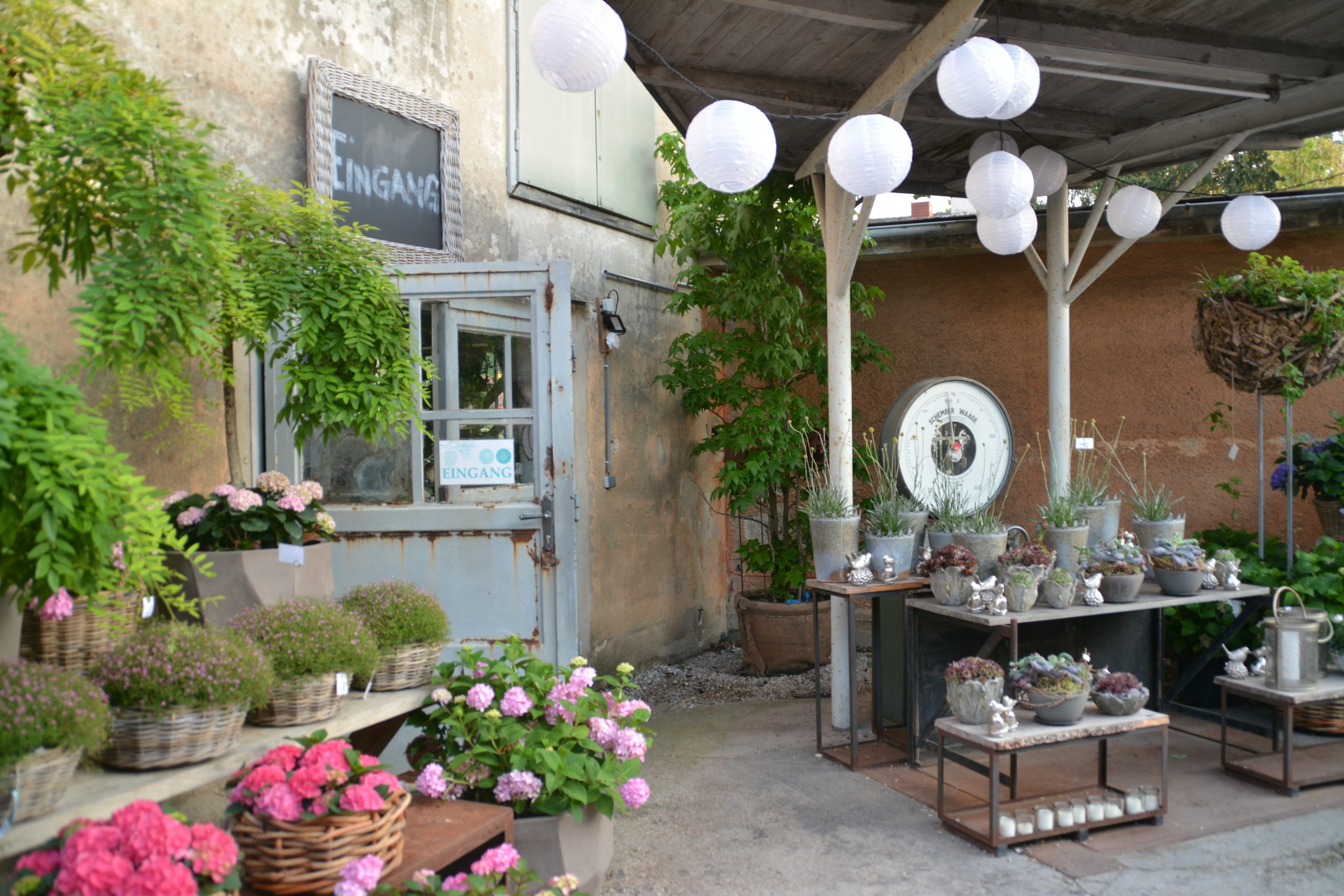 Blumen Lehner In alten Gemäuern